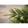 Новогодняя елка TRIUMPH TREE, Королевская стройная, 260 см, зеленая 73949